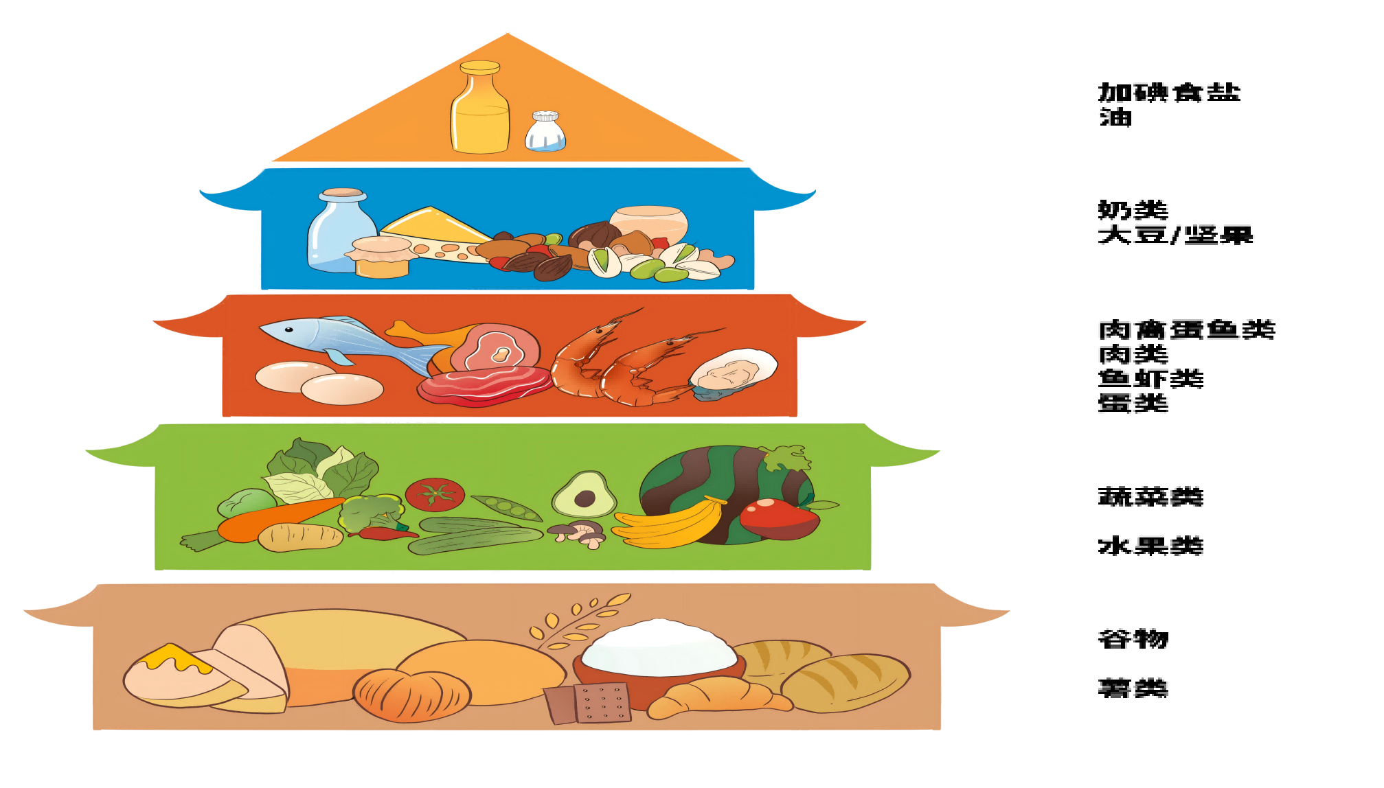 科学饮食，健康不将就 —— 从三餐开始的平衡生活